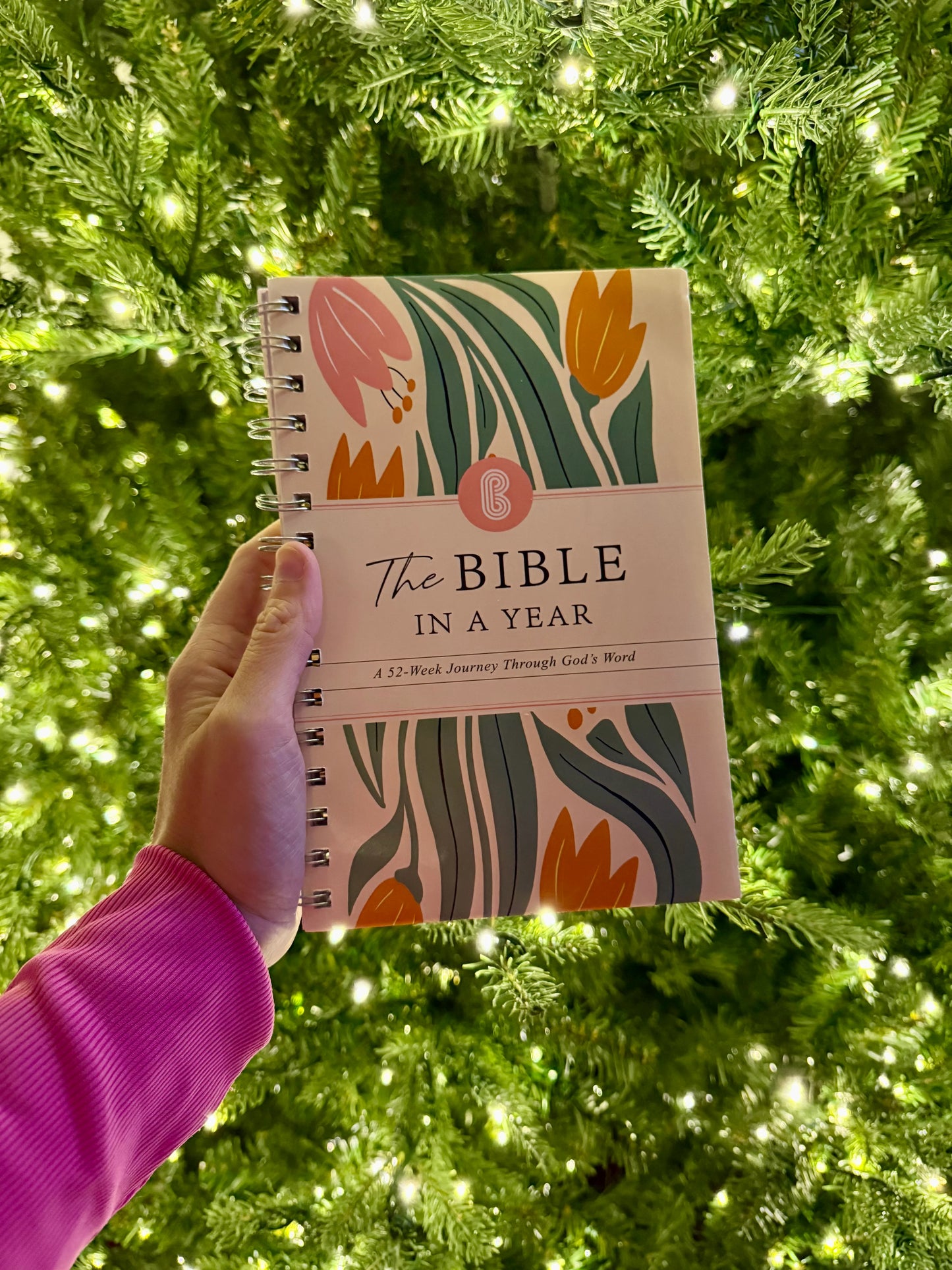 Year In the Bible
