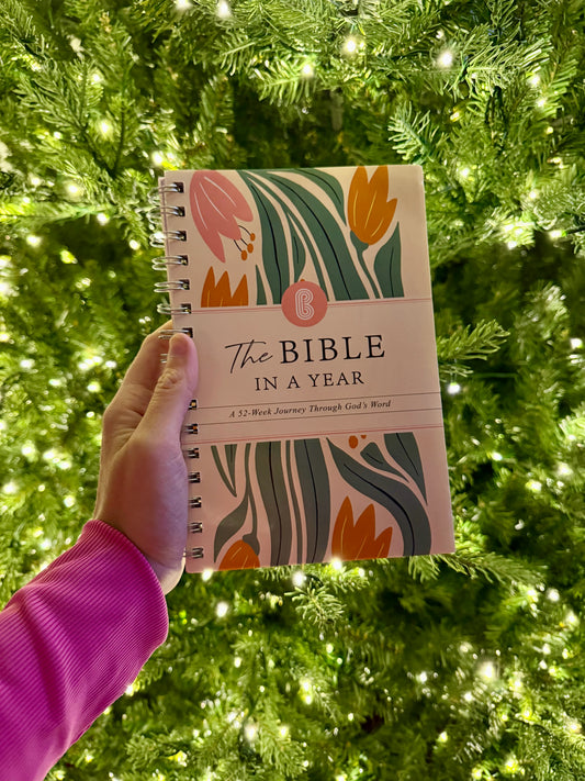 Year In the Bible